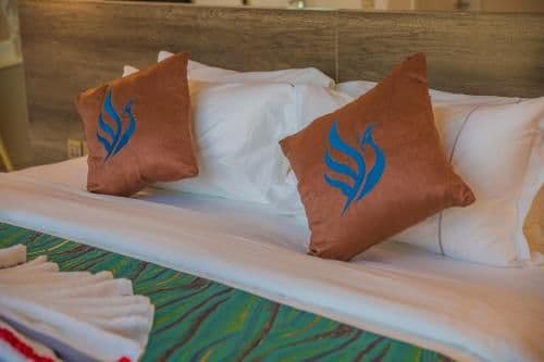Deluxe Executive Double Suite