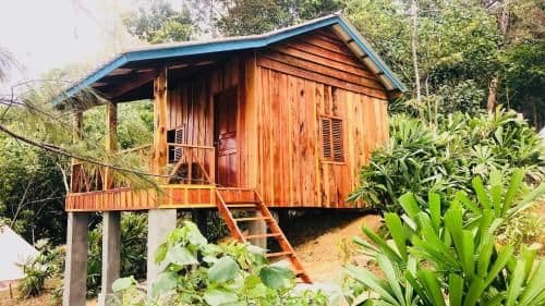 New Standard Bungalow