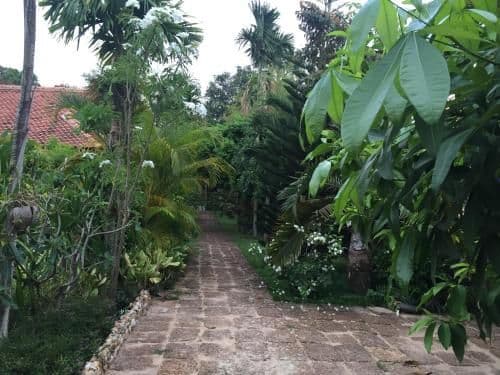 Deluxe Bungalow with Garden View