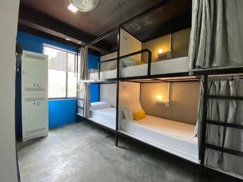 Bunk Bed in Mixed Dormitory Room
