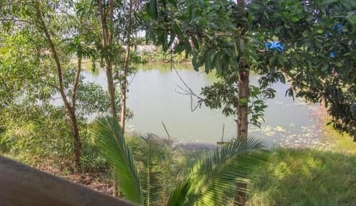 Double Room with Lake View