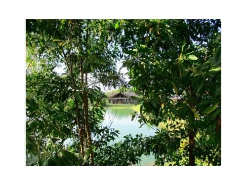 Double Room with Lake View