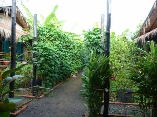 Bungalow with Garden View