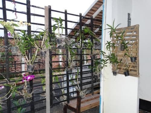 Deluxe Bungalow with Garden View