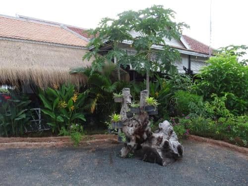 Deluxe Bungalow with Garden View