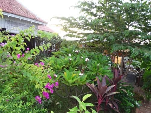 Deluxe Bungalow with Garden View