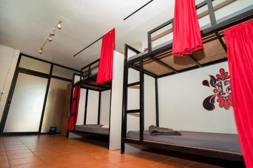 Bunk Bed in Mixed Dormitory Room
