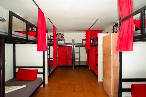 Bunk Bed in Mixed Dormitory Room