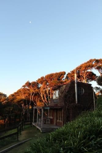Family Bungalow