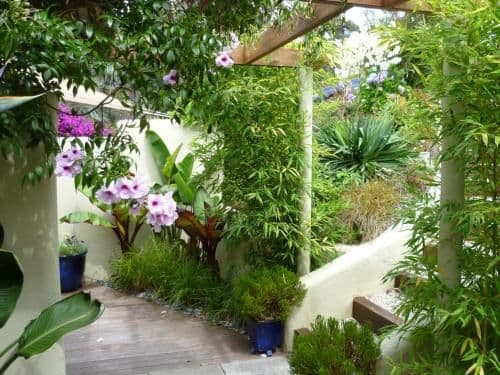 Double Room with Patio