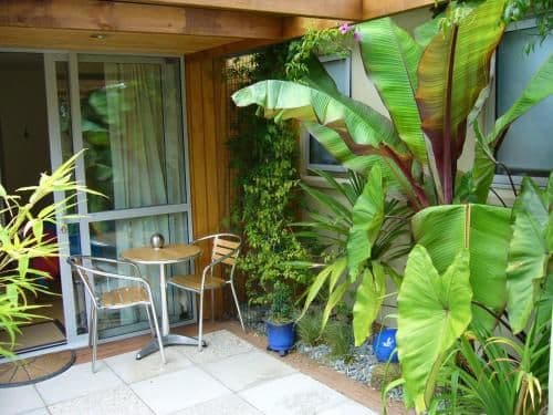 Double Room with Patio