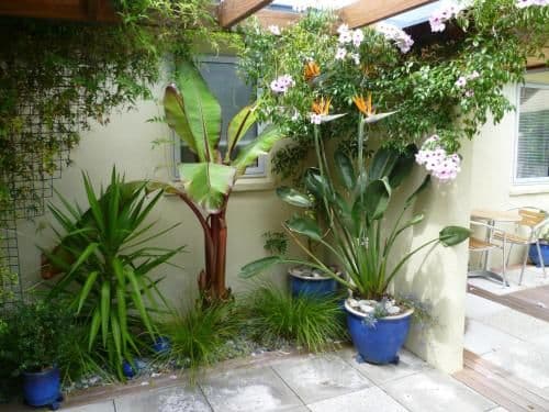 Double Room with Patio