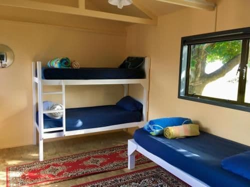 Single Bed in 4-Bed Dormitory Room