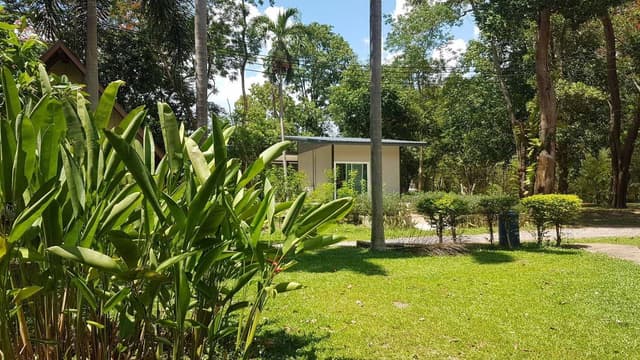 Deluxe Garden View