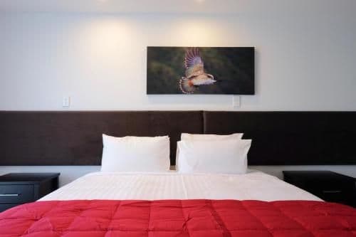 Basic Triple Room with Shared Bathroom