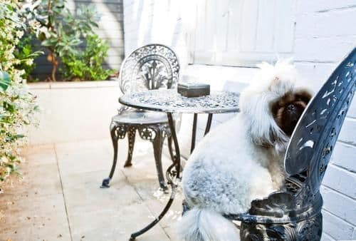 Queen Room - Pet Friendly