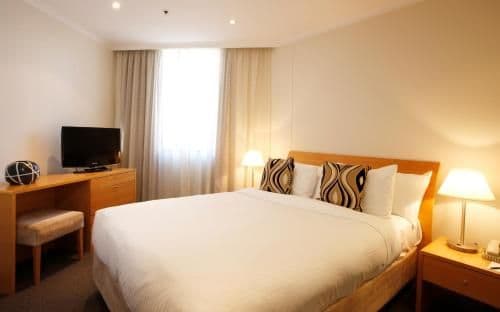 Deluxe One-Bedroom Apartment