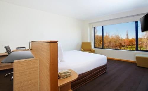 Premium King Room