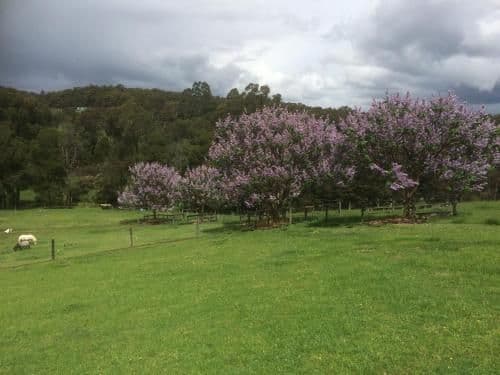 Two-Bedroom Cottage
