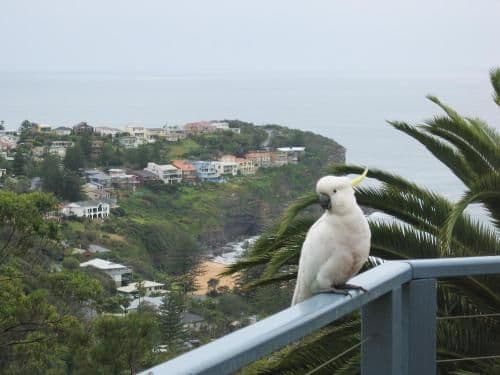 Studio Apartment with Sea View