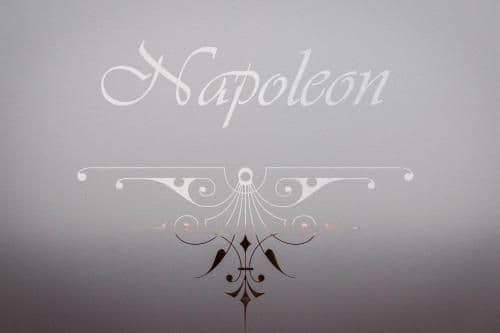 King Suite - Napoleon