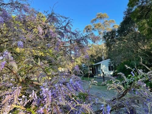 Studio Cottage