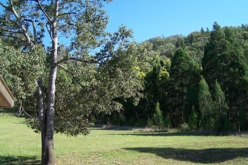 Two-Bedroom Cottage - Kurrajong