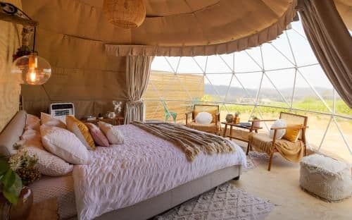 Tent