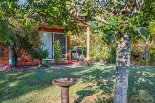 Country Cottage Frangipani
