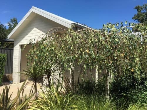 Three Bedroom Cottage