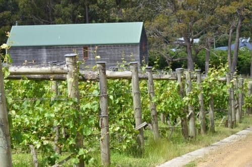 Two-Bedroom Cottage - The Wine Loft