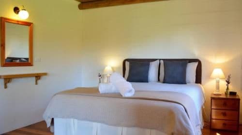 One-Bedroom Cottage - The Studio