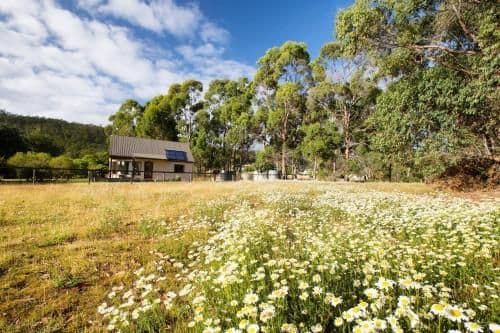One-Bedroom Cottage - The Studio