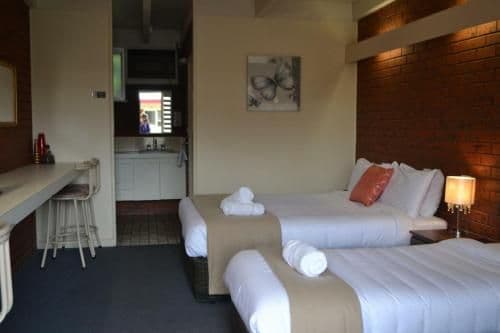 Twin Room (3 Adults)