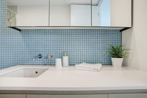 Deluxe Two-Bedroom Apartment
