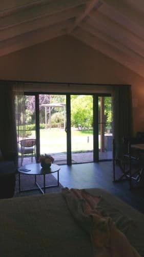 Silver Birch Studio