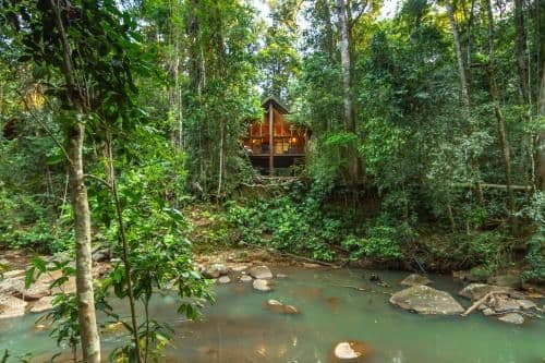 Two-Bedroom Treehouse