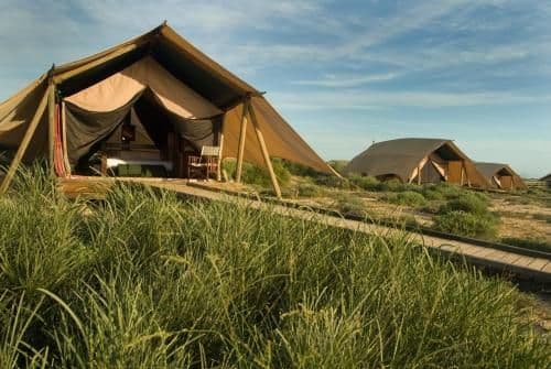 Wilderness Tent