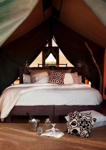 Wilderness Tent