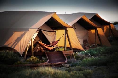 Wilderness Tent