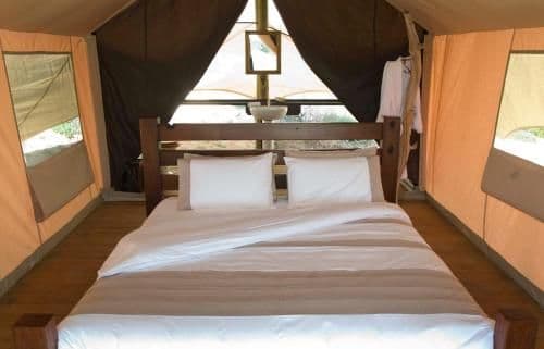 Wilderness Tent