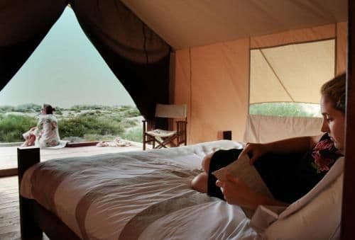 Wilderness Tent