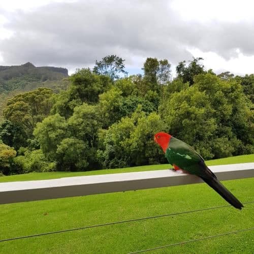 Wattamolla Lodge