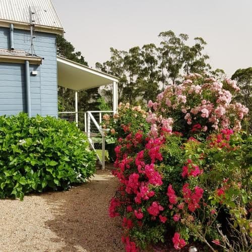 Wattamolla Lodge