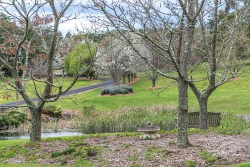 Lyrebird Lodge