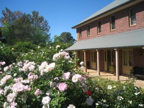 Deluxe Double Room (Adults Only) - Green