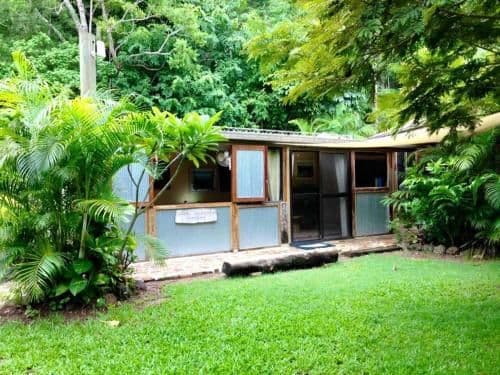 Studio with Garden View