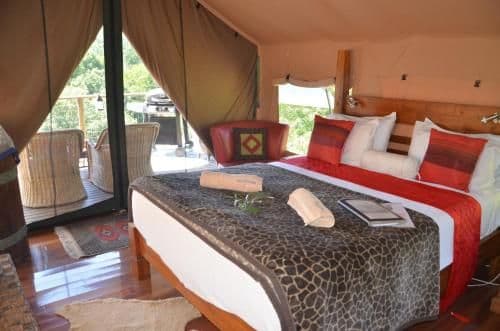 Standard Tent