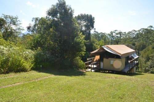 Standard Tent