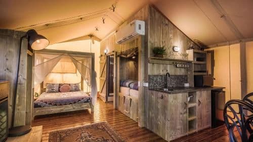  Stargazing Safari Tent